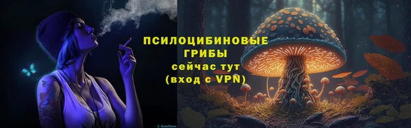 spice Алзамай