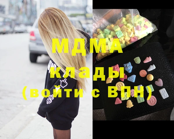 индика Козельск