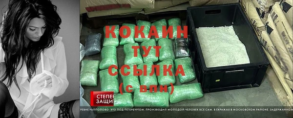 соль ск Алексин