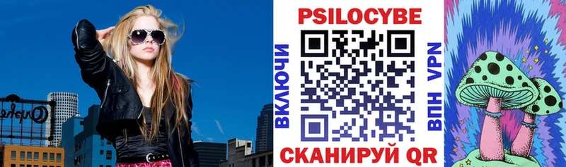 Псилоцибиновые грибы Psilocybe Алатырь