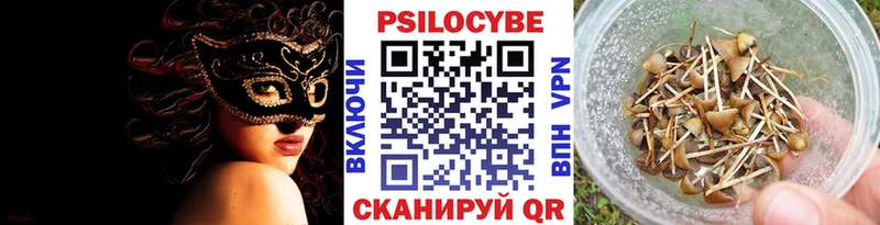 Галлюциногенные грибы Magic Shrooms  наркошоп  Алатырь 